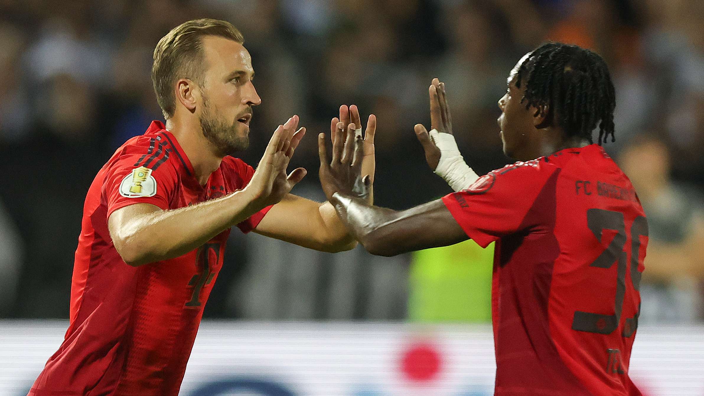 的信心为他 的信心为他