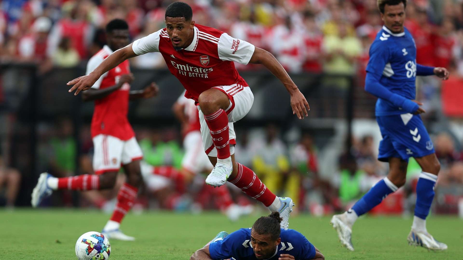 对性调整 对性调整