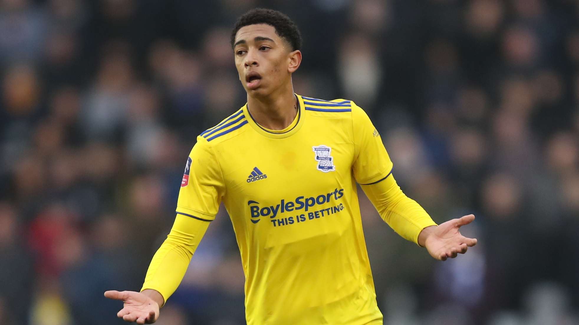 季的一大亮 季的一大亮