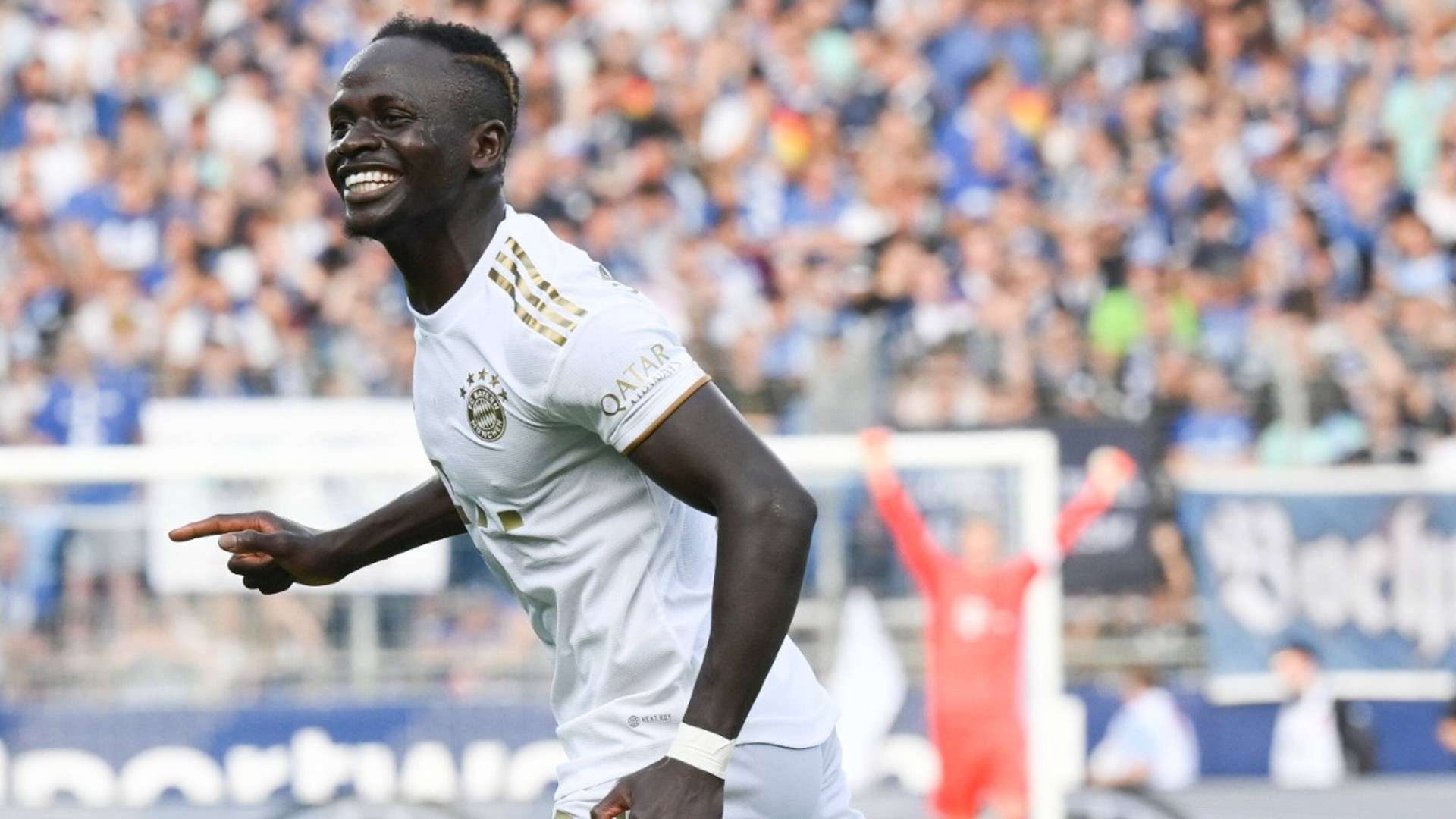 表现出色的 表现出色的