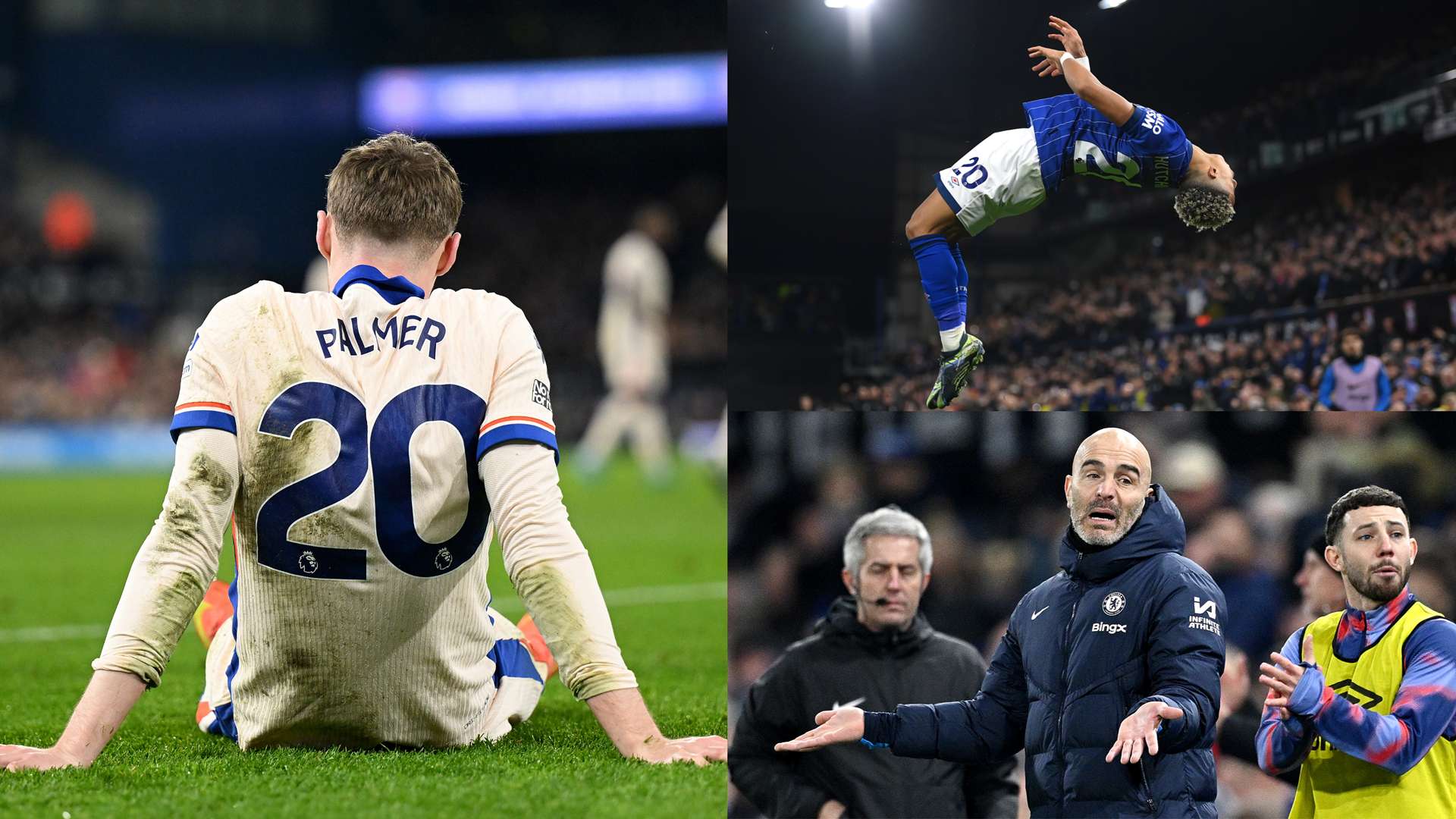 狼队的球员 狼队的球员